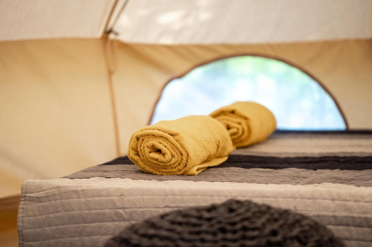 Dragonfly Gardens Urban Glamping Brasov Hotel Exterior photo