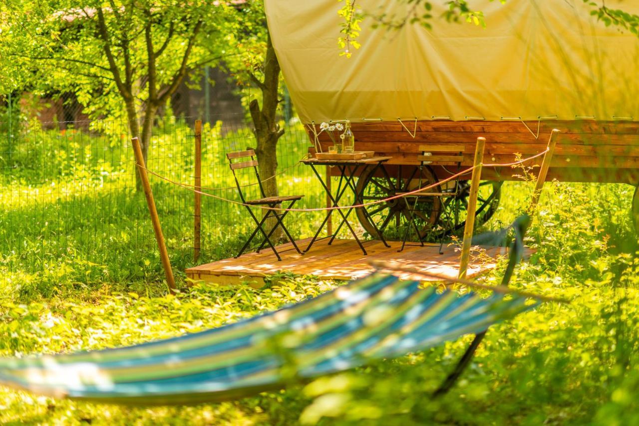 Dragonfly Gardens Urban Glamping Brasov Hotel Exterior photo